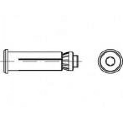 Alstertaler Schrauben & Präzisionsteile Hollo-Bolt 60 mm pozinkovaná ocel 820310130120060 1 ks