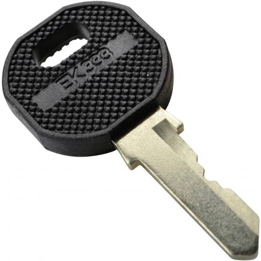 Digitus DN-19 KEY-EK333 19 palec příslušenství pro skříně černá, ocelová