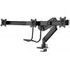 Neomounts držák na stůl pro monitor NM-D775DX3BLACK 3 Displej: (s) 43,2 cm (17) - 61 cm (24) černá nakláněcí, otočný, naklápěcí, nastavitelná výška