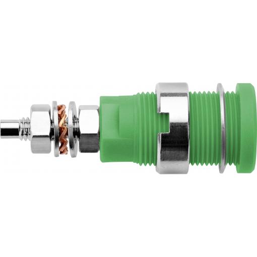 Schützinger DI SEB 6446 Ni / GN bezpečnostní vestavná zásuvka 4 mm zelená 1 ks