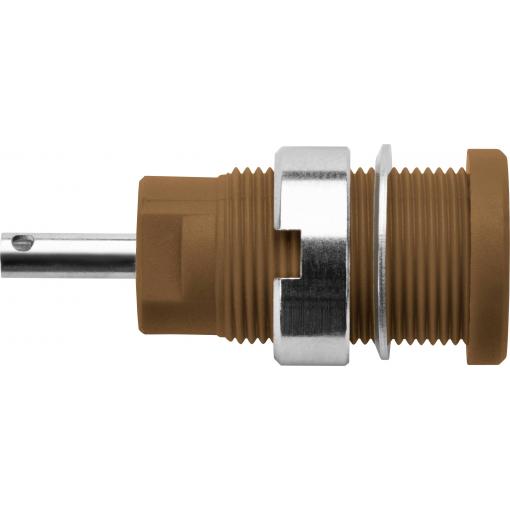 Schützinger DI SEB 6525 Ni / BR bezpečnostní vestavná zásuvka 4 mm hnědá 1 ks