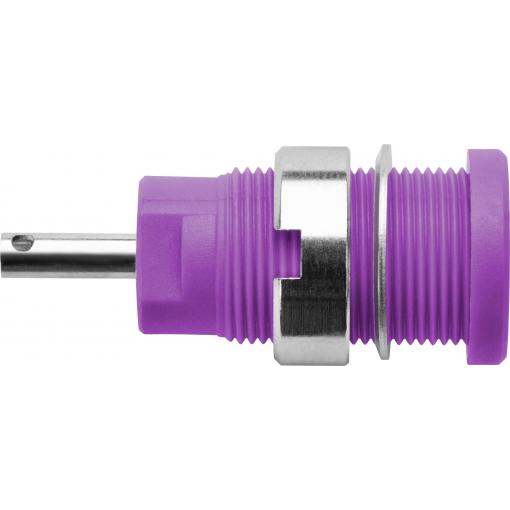 Schützinger DI SEB 6525 Ni / GR bezpečnostní vestavná zásuvka 4 mm šedá 1 ks