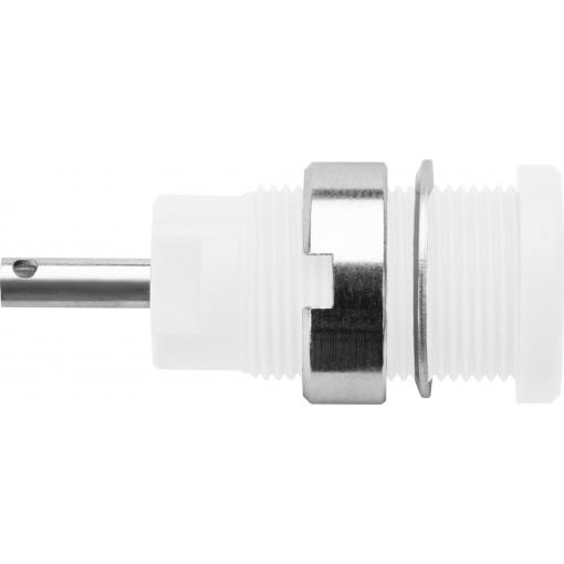 Schützinger DI SEB 6525 Ni / WS bezpečnostní vestavná zásuvka 4 mm bílá 1 ks