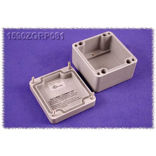 Hammond Electronics 1590ZGRP082PL 1590ZGRP082PL vkládací deska ocelový plech přírodní 1 ks