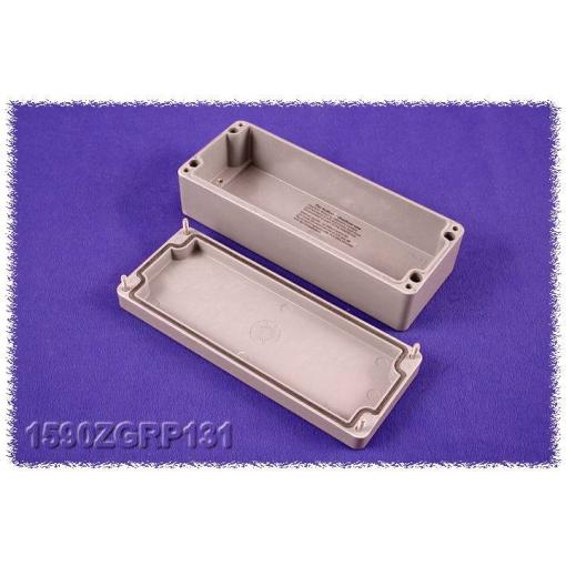 Hammond Electronics 1590ZGRP131PL 1590ZGRP131PL vkládací deska ocelový plech přírodní 1 ks