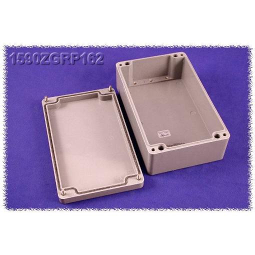 Hammond Electronics 1590ZGRP162PL 1590ZGRP162PL vkládací deska ocelový plech přírodní 1 ks