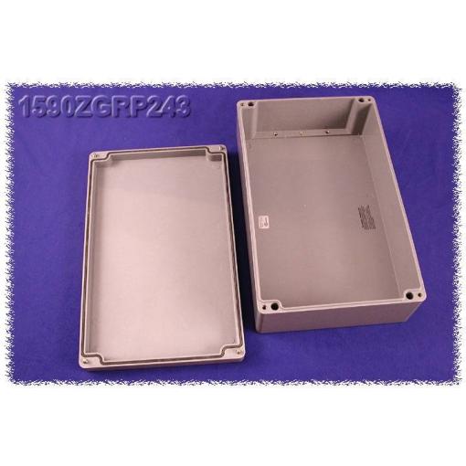 Hammond Electronics 1590ZGRP243PL 1590ZGRP243PL vkládací deska ocelový plech přírodní 1 ks