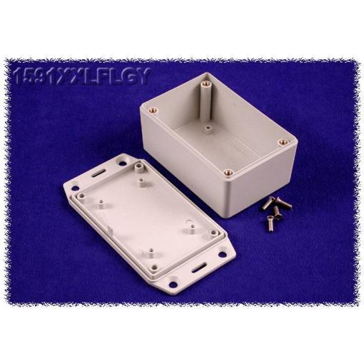 Hammond Electronics 1591XXCFLGY univerzální pouzdro 121 x 66 x 41 ABS šedá 1 ks