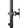 SpeaKa Professional SP-MM-420 rameno na monitory 33,8 cm (13,3) - 81,3 cm (32) naklápěcí, nakláněcí, otočný, nastavitelná výška