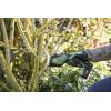 Bosch Home and Garden 0600861A01 Keo 18 BT nůžky na větve