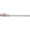 Renkforce RF-4724288 RJ45 síťové kabely, propojovací kabely CAT 6 1.00 m šedá s ochranou, pozlacené kontakty, samozhášecí 1 ks