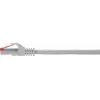 Renkforce RF-4724934 RJ45 síťové kabely, propojovací kabely CAT 6 S/FTP 2.00 m šedá s ochranou, pozlacené kontakty, samozhášecí 1 ks