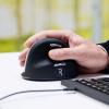 R-GO Tools HE (RGOHELAWL) optická ergonomická myš, přenos bezdrátový, 5 tlačítko, 2500 dpi, černá/stříbrná
