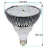 Žárovka LED GROW E27 PAR38, 230V/12W