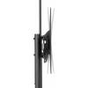 SpeaKa Professional TV kolečkový vozík 94,0 cm (37) - 177,8 cm (70) podlahový stojan, naklápěcí, nastavitelná výška