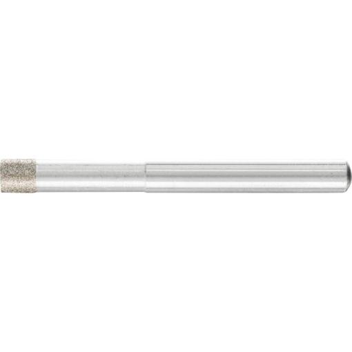 PFERD TOOLS 36106010 brusné tělísko Průměr 6 mm 1 ks