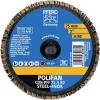 PFERD TOOLS 47202091 CDR PFF 75 A 80 vějířovitý brusný kotouč Průměr 75 mm bronz, titan, Slitina titanu, měď, mosaz, nerezová ocel, Šedá / tvárná litina,
