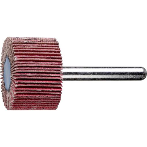 PFERD TOOLS 47802773 Vějířový brusný kotouč Průměr 30 mm 10 ks
