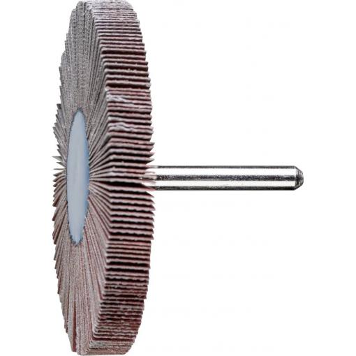 PFERD TOOLS 47802857 Vějířový brusný kotouč Průměr 80 mm 10 ks