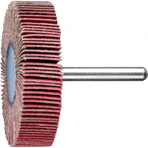 PFERD TOOLS 47802874 Vějířový brusný kotouč Průměr 60 mm 10 ks