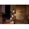 Philips Hue LED žárovka 871951430148100 Energetická třída (EEK2021): G (A - G) Hue White Ambiance Einzelpack Globe G93 Filament 300lm E27 7 W teplá až studená