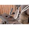 PFERD TOOLS Ruční kartáč 43673004 50 ks