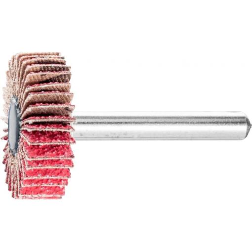 PFERD TOOLS 44402074 Vějířový brusný kotouč Průměr 30 mm 10 ks