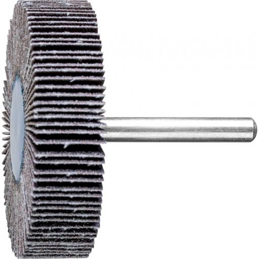PFERD TOOLS 44460080 Vějířový brusný kotouč Průměr 60 mm 10 ks