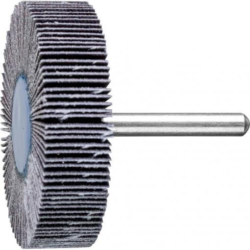 PFERD TOOLS 44460120 Vějířový brusný kotouč Průměr 60 mm 10 ks