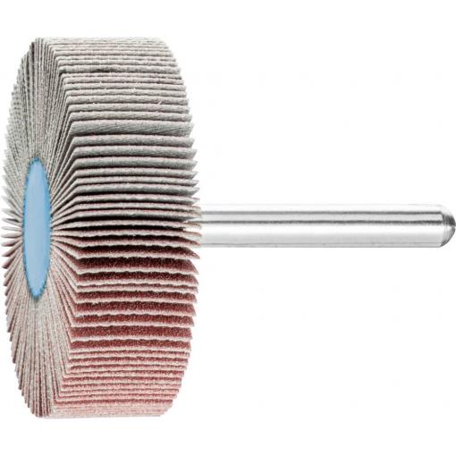 PFERD TOOLS 44506186 Vějířový brusný kotouč Průměr 50 mm 10 ks