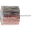 PFERD TOOLS 44511126 Vějířový brusný kotouč Průměr 60 mm 10 ks