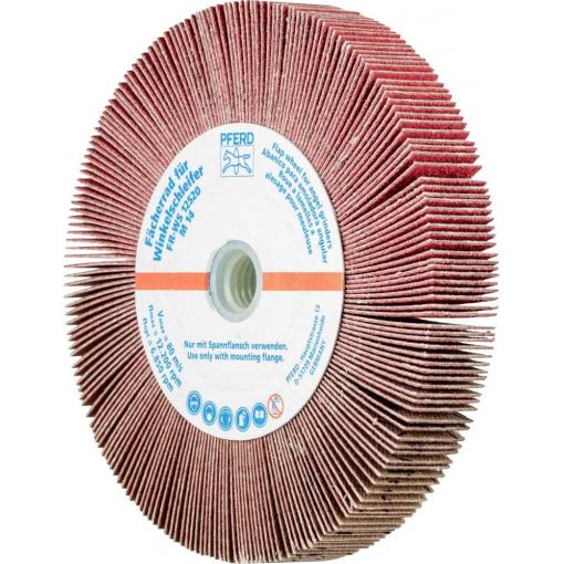 PFERD TOOLS 44782612 Vějířové kolo Průměr 125 mm 2 ks