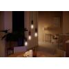 Philips Hue LED žárovka 871951430146700 Energetická třída (EEK2021): G (A - G) Hue White Ambiance Einzelpack Edison ST64 Filament 300lm E27 7 W teplá až