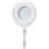 TOOLCRAFT TO-7173471 Lupa s LED osvětlením, 60 SMD LED, 8D, 3x zvětšení=3 x 12.7 cm Třída energetické účinnosti 2021 F (A - G)
