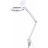 TOOLCRAFT TO-7173471 Lupa s LED osvětlením, 60 SMD LED, 8D, 3x zvětšení=3 x 12.7 cm Třída energetické účinnosti 2021 F (A - G)