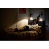 Sygonix SY-4892456 LED Energetická třída (EEK2021) F (A - G) E14 2.9 W = 25 W teplá bílá (Ø x v) 35 mm x 100 mm 3 ks