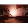 Philips Hue LED stolní lampa 26456400 Iris pevně vestavěné LED 8.1 W RGBW