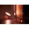 Philips Hue LED stolní lampa 26456400 Iris pevně vestavěné LED 8.1 W RGBW