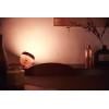 Philips Hue LED stolní lampa 26456400 Iris pevně vestavěné LED 8.1 W RGBW