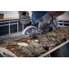 Wolfcraft 4387000 kotoučová fréza, Vnější Ø 50 mm, Pracovní délka 9.6 mm