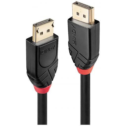 LINDY DisplayPort kabel Konektor DisplayPort, Konektor DisplayPort 15.00 m černá 41079 Kabel DisplayPort
