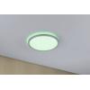 Paulmann 71018 P Atria Shine 12W RGBW 293mm chr mt Ks LED stropní svítidlo 12 W chrom (matný)