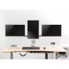 LogiLink držák na stůl pro monitor BP0052 3 Displej: (s) 33,0 cm (13) - 81,3 cm (32) stříbrná naklápěcí, nakláněcí