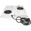 Intellinet 712781 19 palec 2 x 1 U šedá