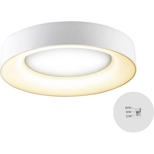 EVN R40250125 R40250125 LED stropní svítidlo 25 W bílá