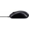 Renkforce RF-WEM-110 optická myš, přenos USB, 3 tlačítko, 1000 dpi, černá