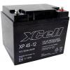 XCell XP 45 - 12 XP4512 olověný akumulátor 12 V 45 Ah olověný se skelným rounem (š x v x h) 197 x 170 x 165 mm šroubované M6 bezúdržbové, VDS certifikace