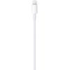 Apple iPad/iPhone/iPod kabel [1x USB-C® zástrčka - 1x dokovací zástrčka Apple Lightning] 1.00 m bílá