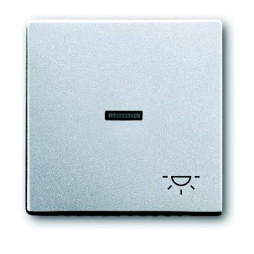 Busch-Jaeger kryt symbol světlo Future Linear bílá hliníková (RAL 9006) , hliník 2CKA001751A2951 1 ks