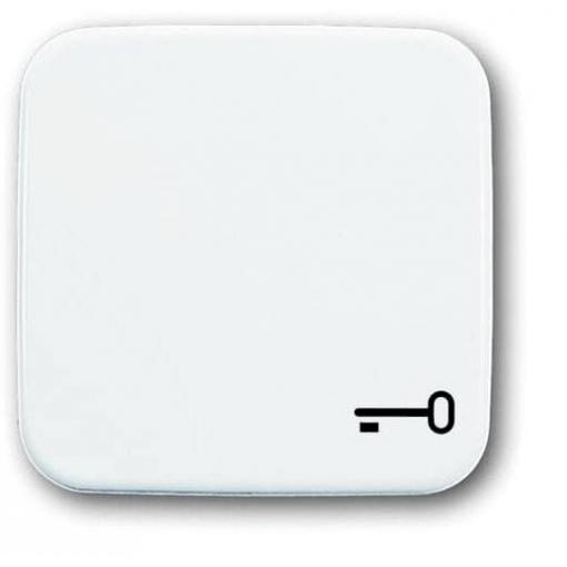 Busch-Jaeger kryt symbol klíč Reflex SI čistě bílá (RAL 9010), bílá 2CKA001731A0959 1 ks